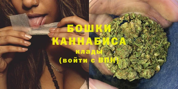индика Абдулино